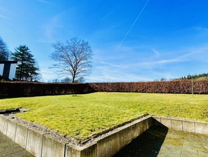 Garten.jpg