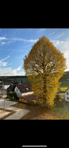 10_Ausblick_1.png